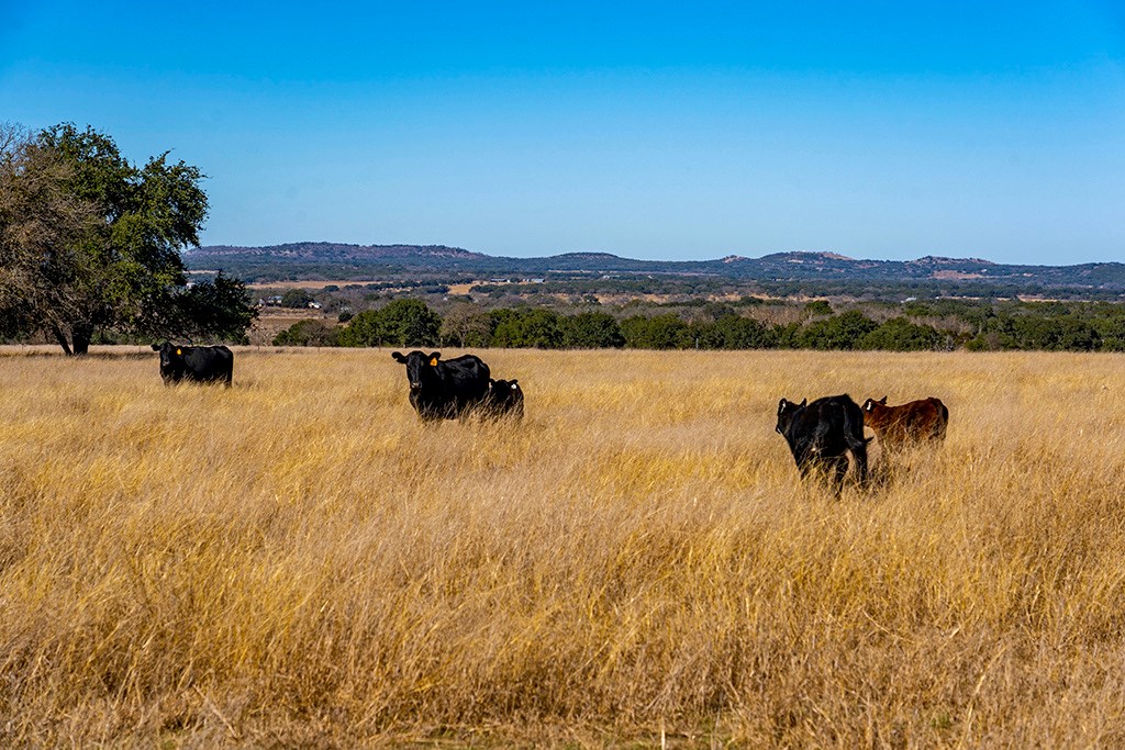 855 Lindig Ranch Road Stonewall, TX 78671 - Photo 27 of 43