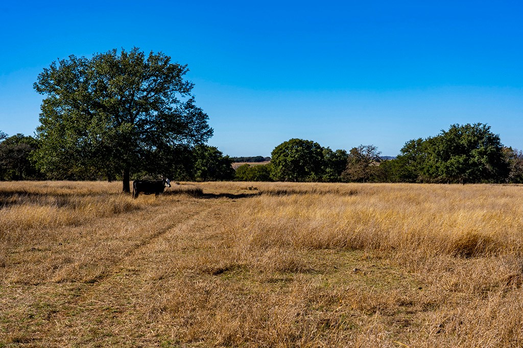 855 Lindig Ranch Road Stonewall, TX 78671 - Photo 28 of 43