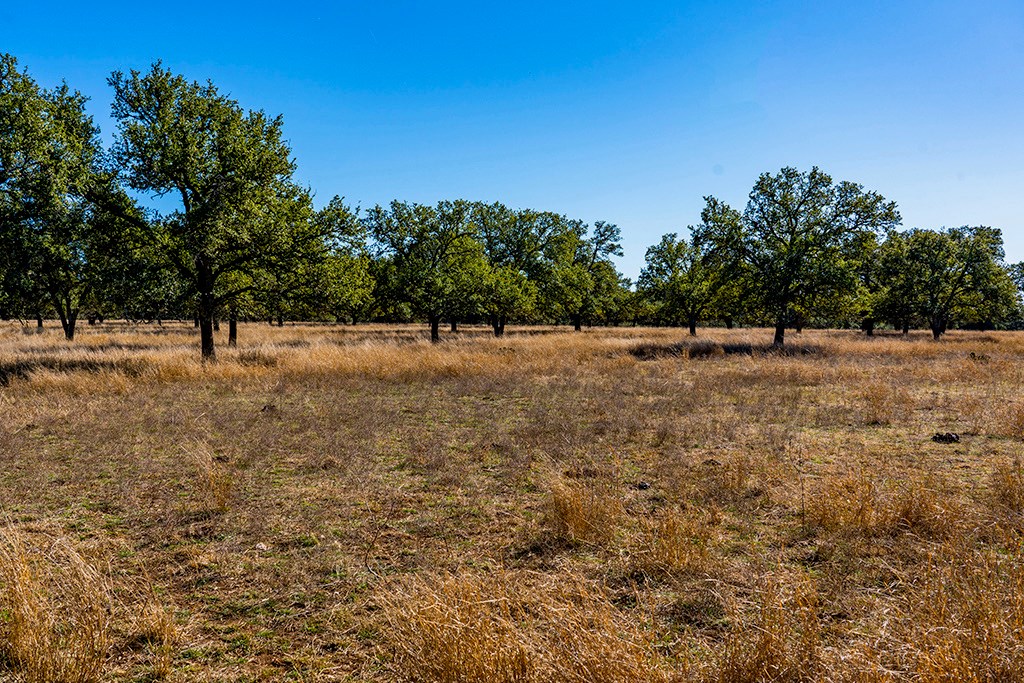 855 Lindig Ranch Road Stonewall, TX 78671 - Photo 29 of 43
