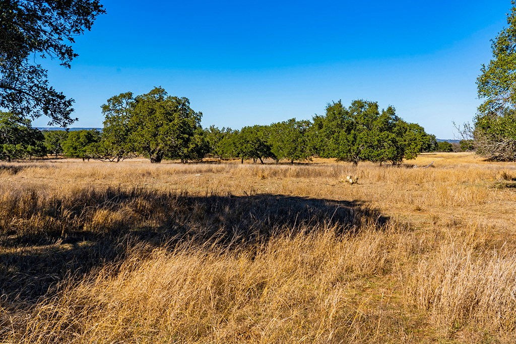 855 Lindig Ranch Road Stonewall, TX 78671 - Photo 30 of 43