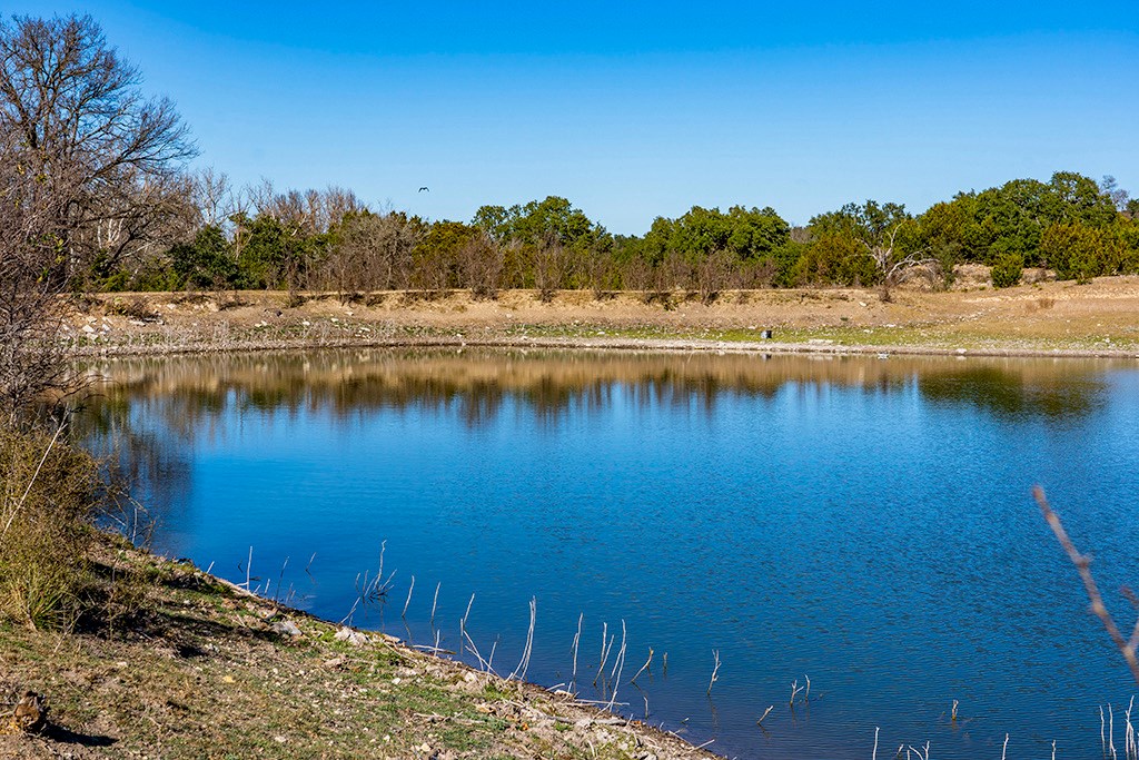 855 Lindig Ranch Road Stonewall, TX 78671 - Photo 3 of 43