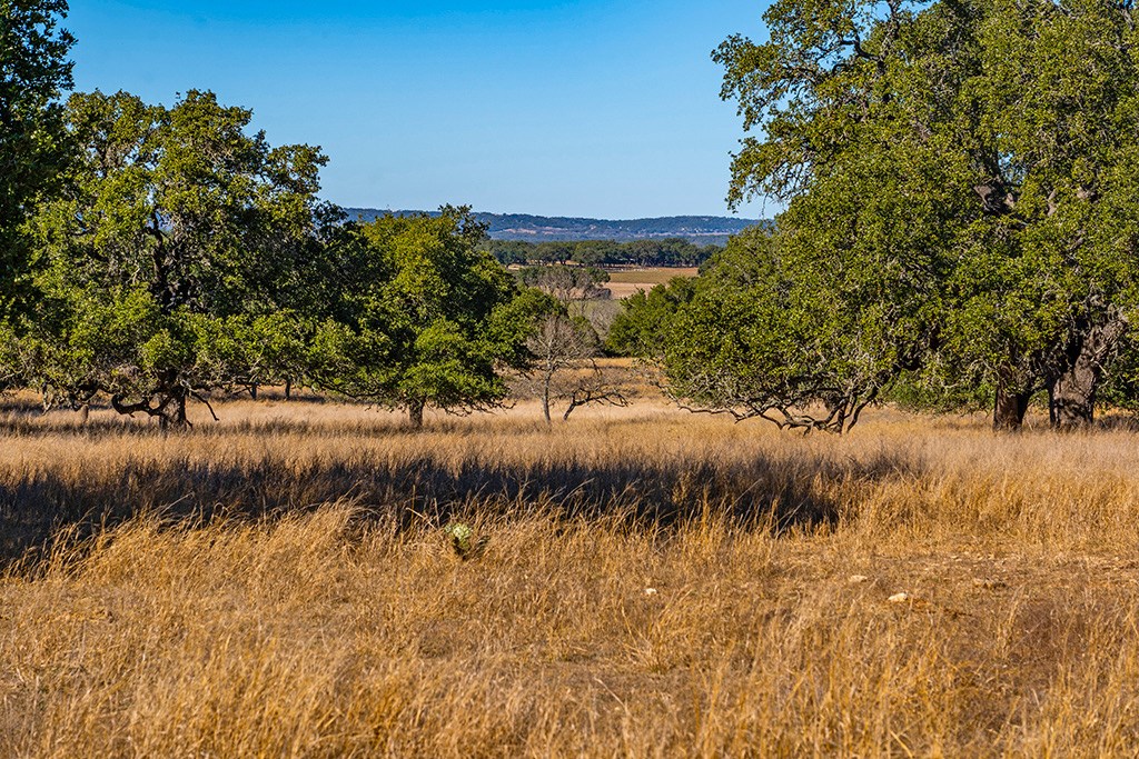 855 Lindig Ranch Road Stonewall, TX 78671 - Photo 31 of 43
