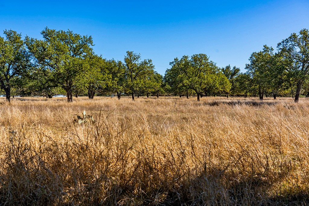 855 Lindig Ranch Road Stonewall, TX 78671 - Photo 33 of 43