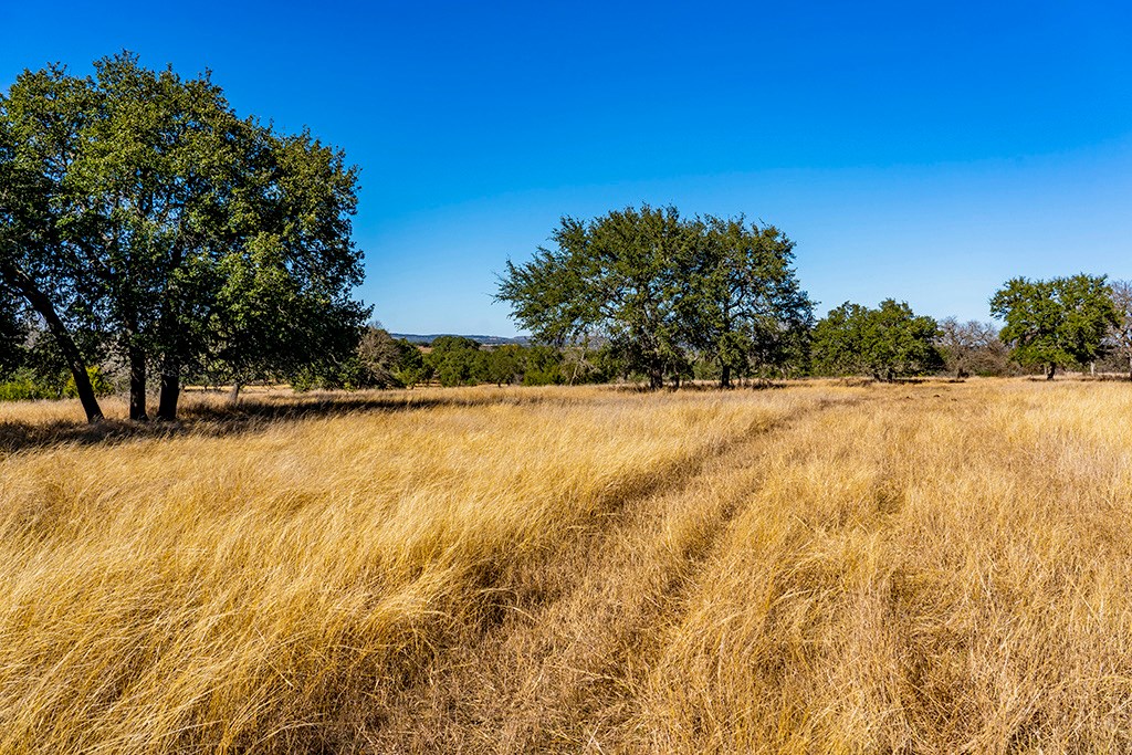 855 Lindig Ranch Road Stonewall, TX 78671 - Photo 34 of 43