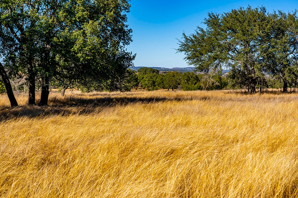 855 Lindig Ranch Road Stonewall, TX 78671 - Photo 35 of 43