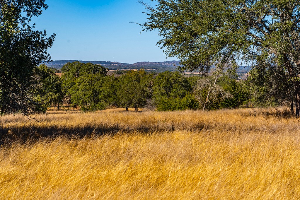 855 Lindig Ranch Road Stonewall, TX 78671 - Photo 36 of 43