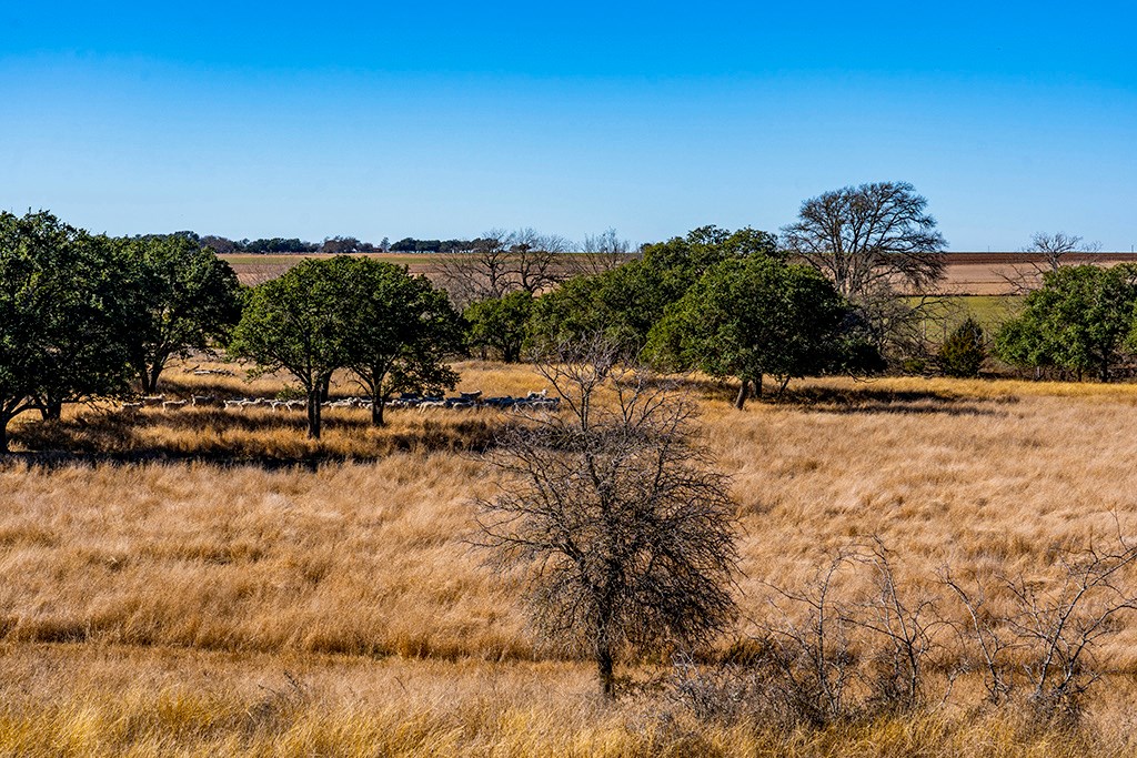 855 Lindig Ranch Road Stonewall, TX 78671 - Photo 37 of 43