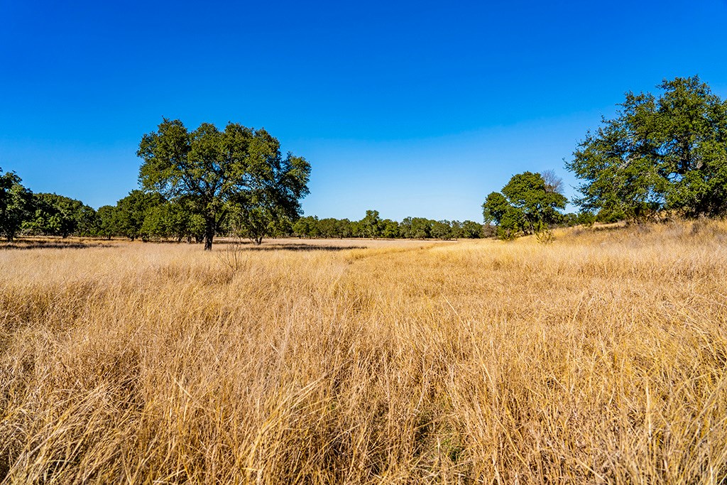 855 Lindig Ranch Road Stonewall, TX 78671 - Photo 39 of 43