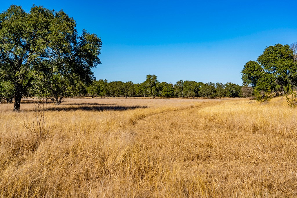 855 Lindig Ranch Road Stonewall, TX 78671 - Photo 40 of 43