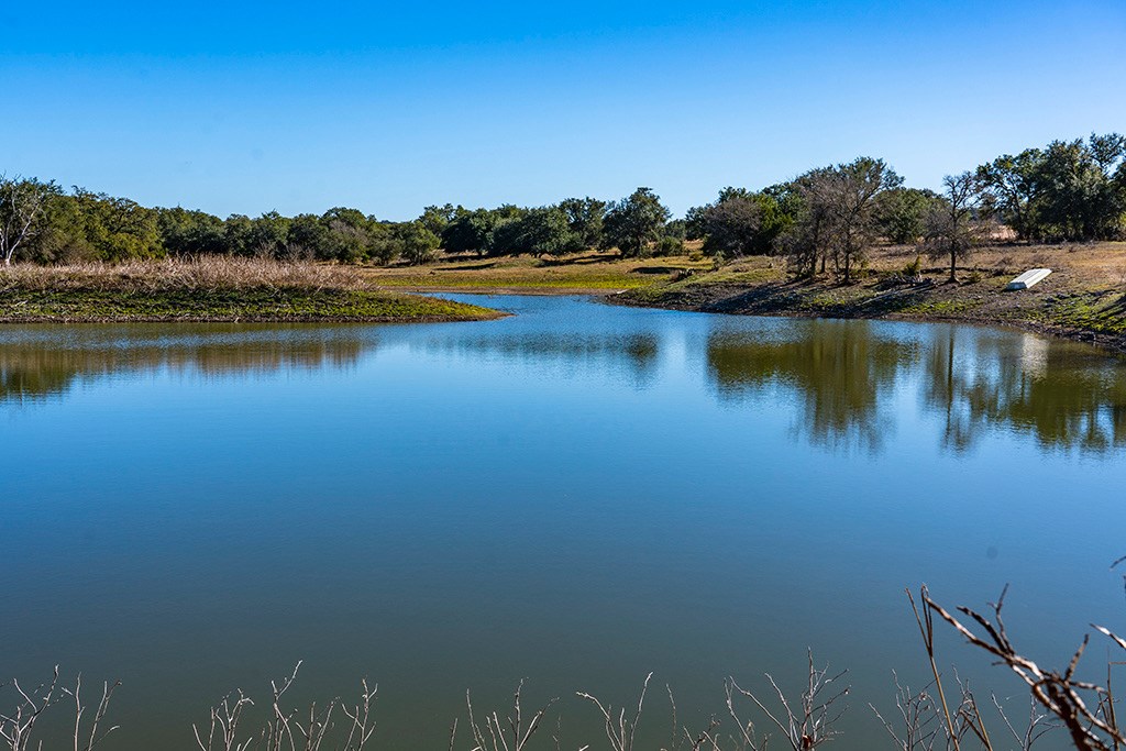 855 Lindig Ranch Road Stonewall, TX 78671 - Photo 4 of 43