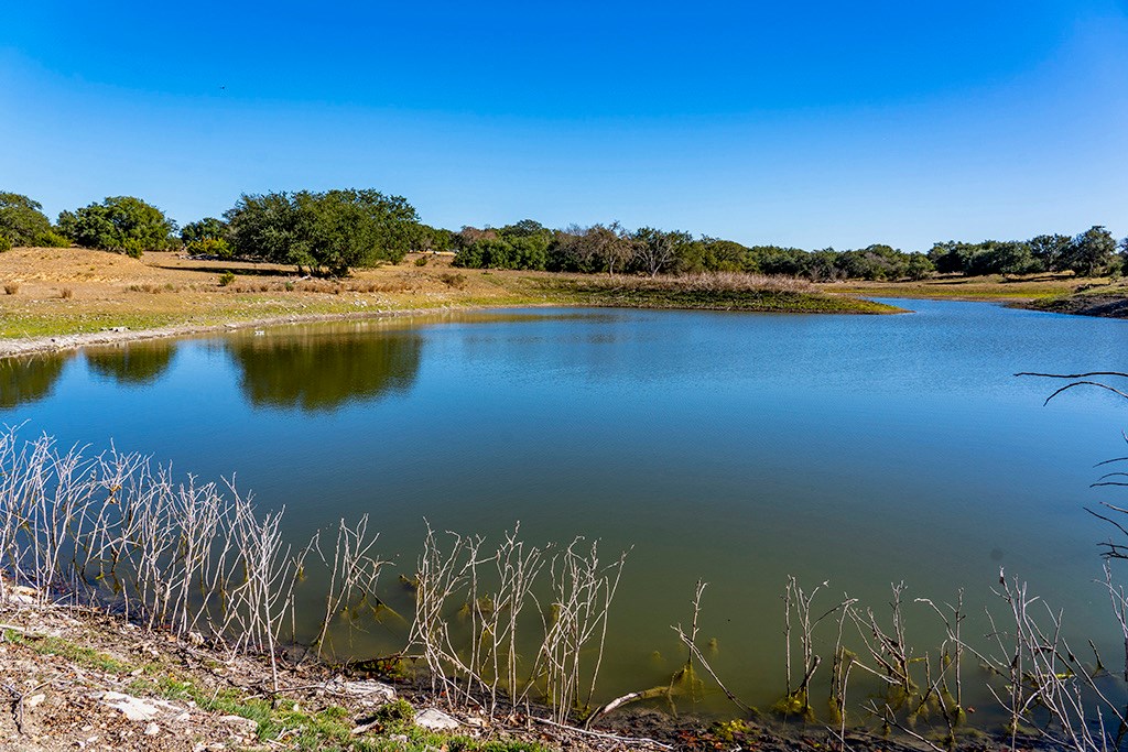 855 Lindig Ranch Road Stonewall, TX 78671 - Photo 5 of 43