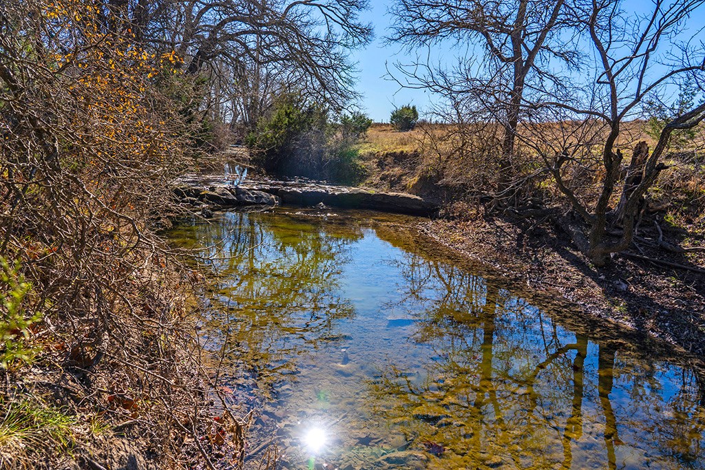 855 Lindig Ranch Road Stonewall, TX 78671 - Photo 6 of 43