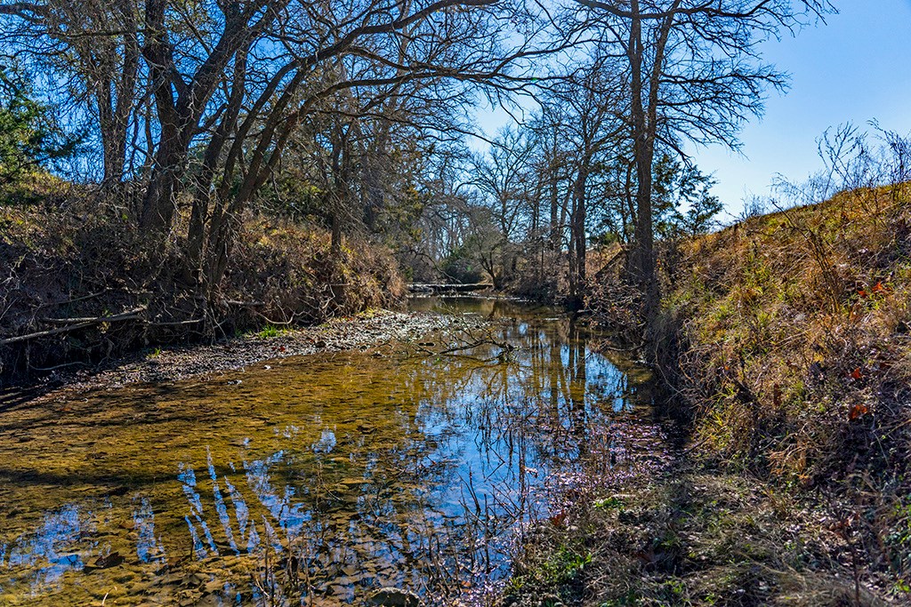 855 Lindig Ranch Road Stonewall, TX 78671 - Photo 8 of 43
