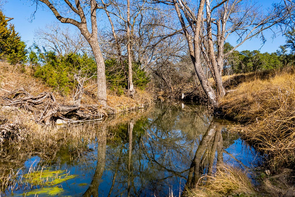 855 Lindig Ranch Road Stonewall, TX 78671 - Photo 9 of 43