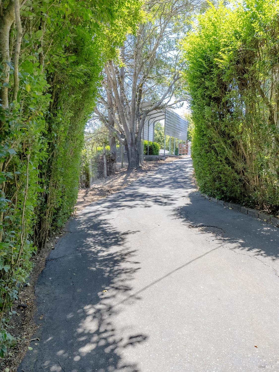 5718 Henning Road Sebastopol, CA 95472 - Photo 24 of 32 Looking towards entrance from near home.