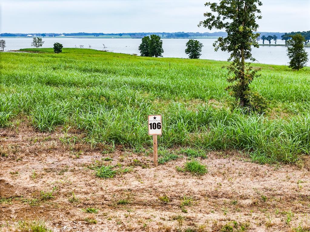 204 Lakeshore Lane Windom, TX 75492 - Photo 37 of 40 Exterior view