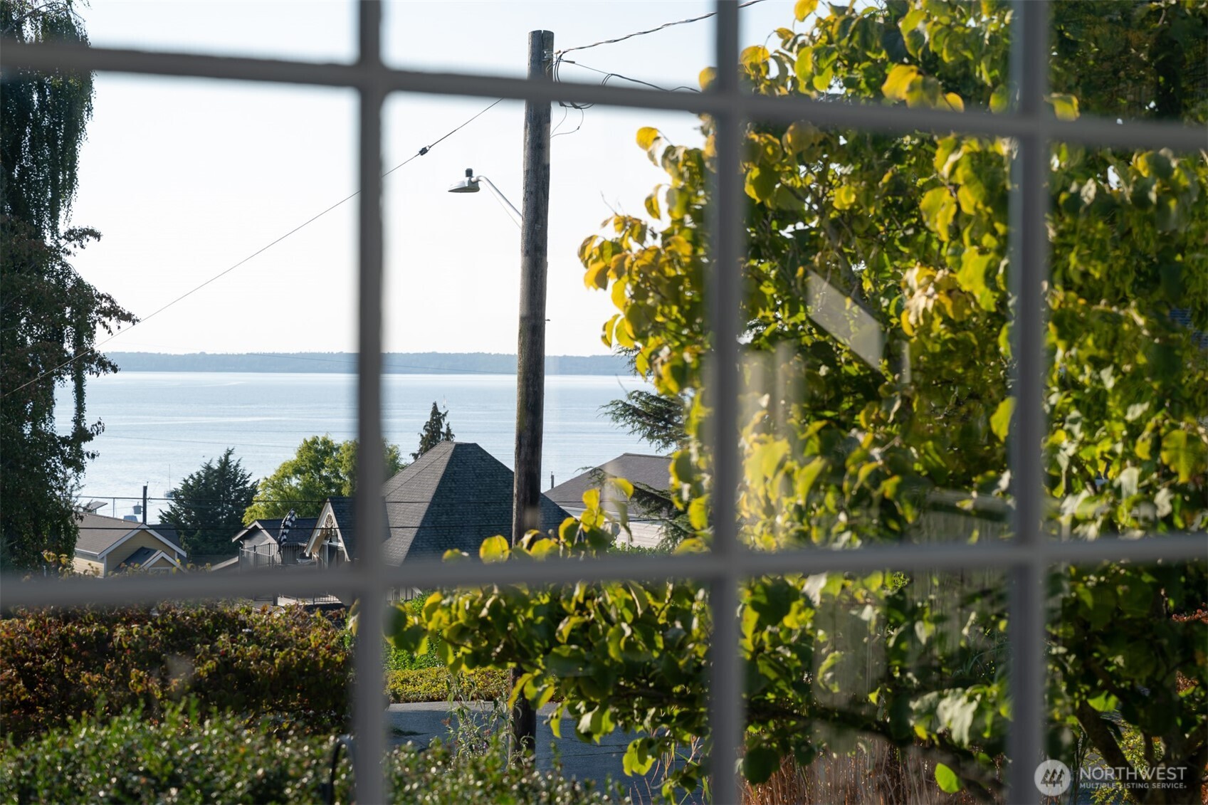 903 13th Street Bellingham, WA 98225 - Photo 35 of 40 a view of a garden