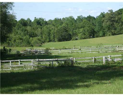53305 Johnny Martin Road Franklinton, LA 70438 - Photo 4 of 25 Gallery Image 4