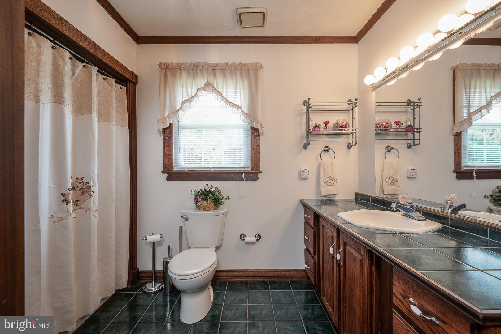 16040 Ridge Road King George, VA 22485 - Photo 13 of 30 Bath (Master)