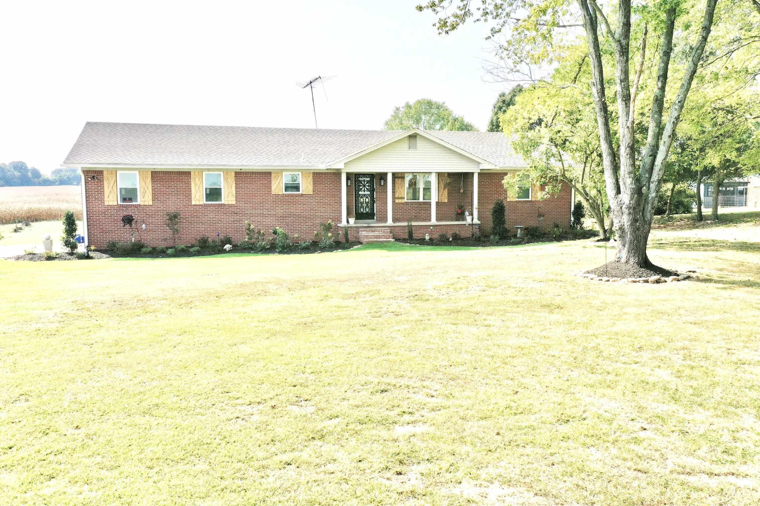 239 Carson Road Newbern, TN 38059 - Photo 1 of 1 Photo 1