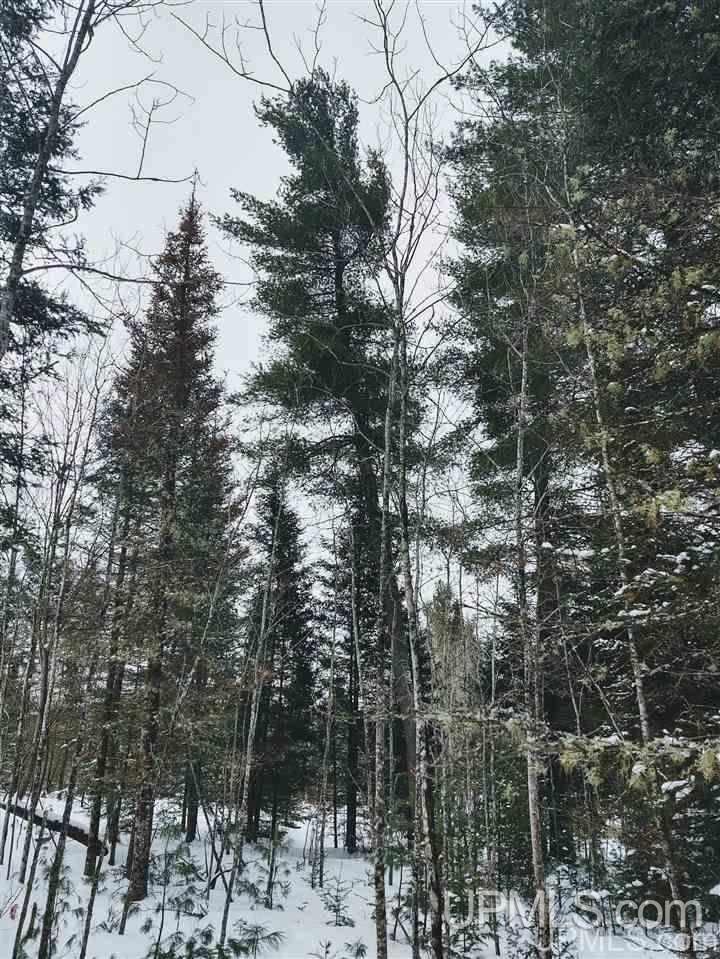 Tbd Forest Hwy 16 Road Iron River, MI 49935 - Photo 8 of 49