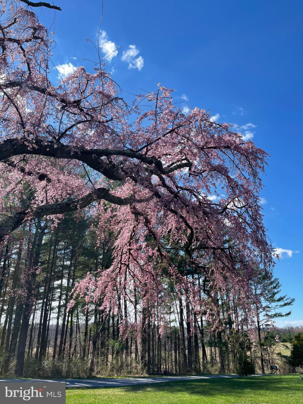 3016 Benson Mill Road Upperco, MD 21155 - Photo 45 of 51