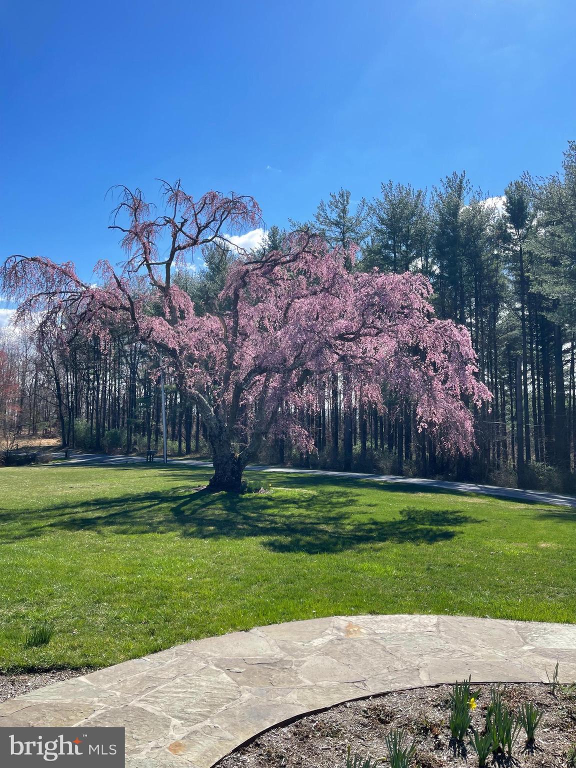 3016 Benson Mill Road Upperco, MD 21155 - Photo 46 of 51