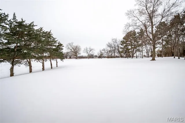 $450,000 | 5251 Miles Station Road, Bunker Hill, IL 62014