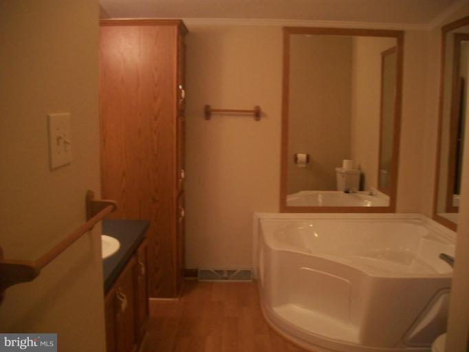 31 Bear Pond Road Harpers Ferry, WV 25425 - Photo 3 of 12 Bath (Master)