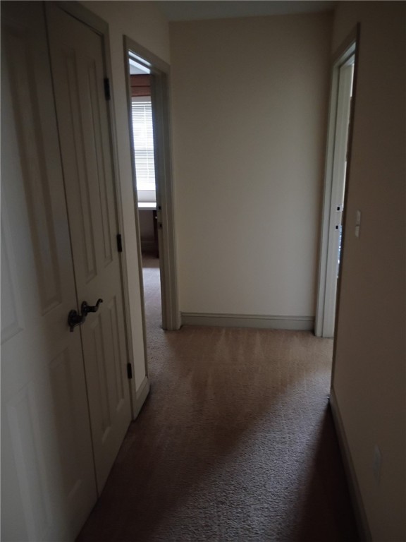 203 Kelly Road, Unit 224 Clemson, SC 29631 - Photo 5 of 7