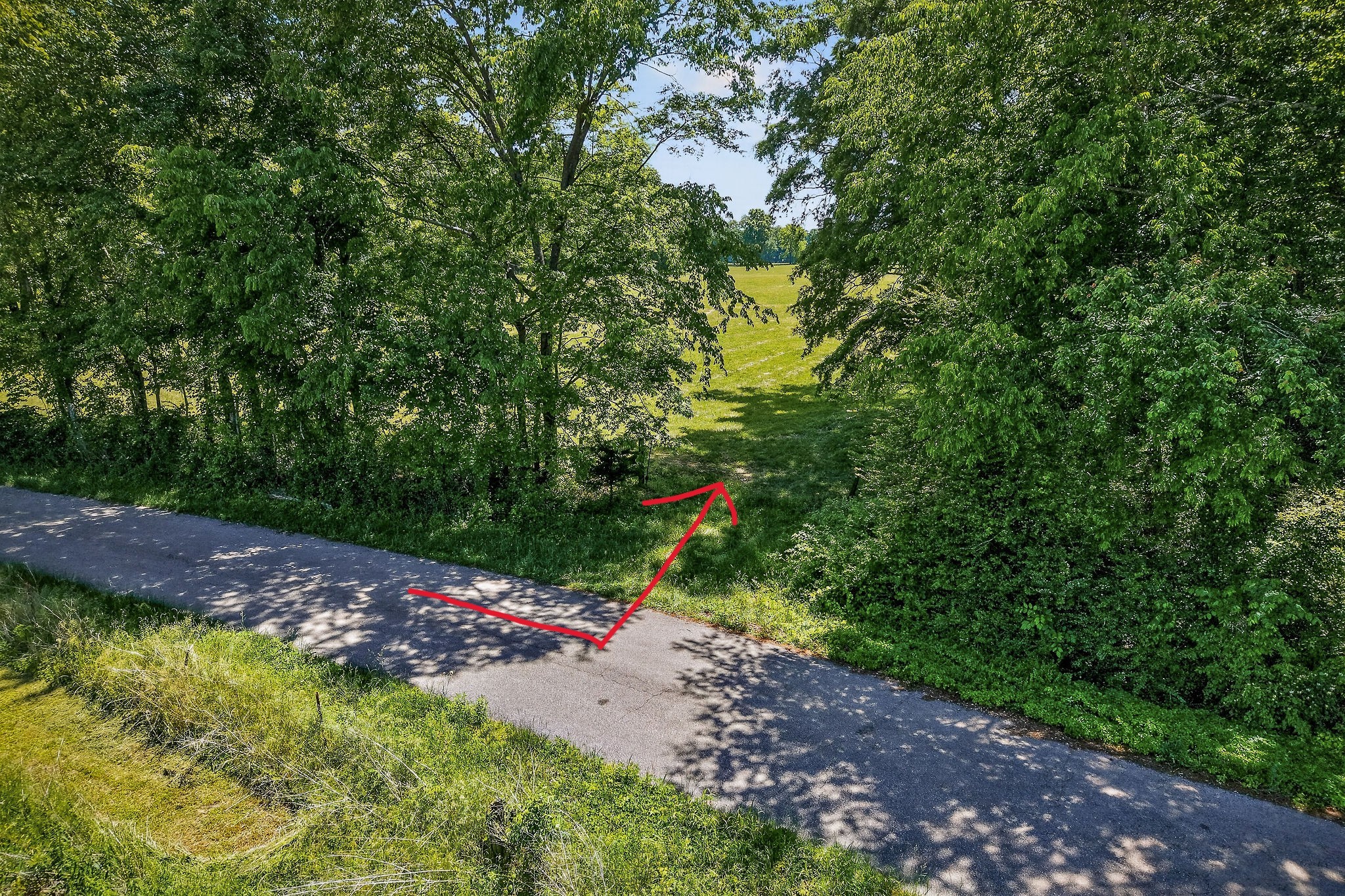 0 Freeze Road Morrison, TN 37357 - Photo 3 of 11 a view of a park with large trees