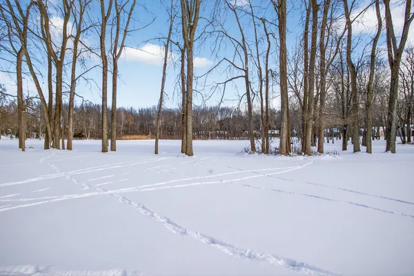 $440,000 | 2205 Lake Wood Drive, Jackson, MI 49203