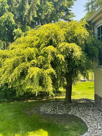 $450,000 | 2205 Lake Wood Drive, Jackson, MI 49203