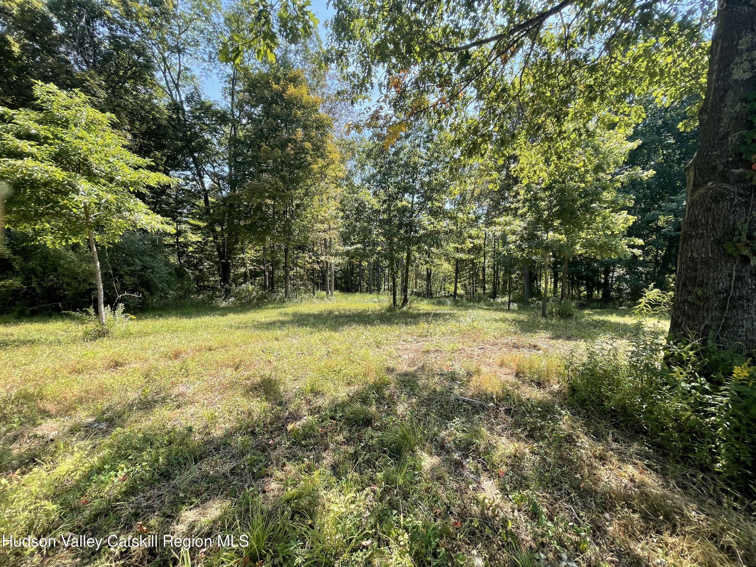 Lot 1 Crestview Ridge Lane High Falls, NY 12440 - Photo 4 of 5 4