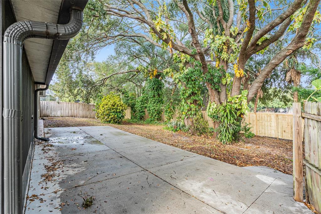 3036 Bluebird Drive Holiday, FL 34690 - Photo 23 of 26