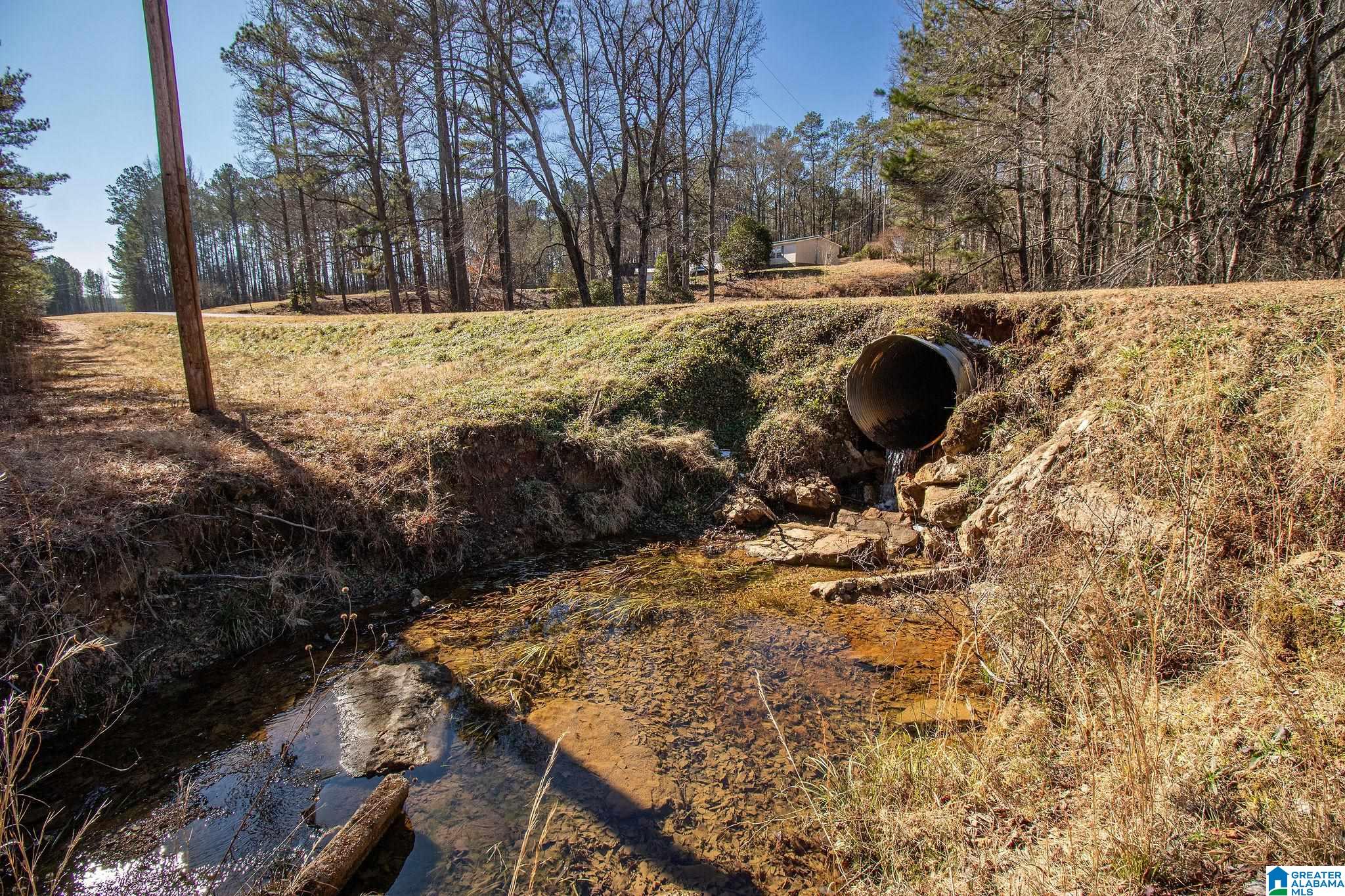 1809 Blue Ridge Road Lineville, AL 36266 - Photo 65 of 69