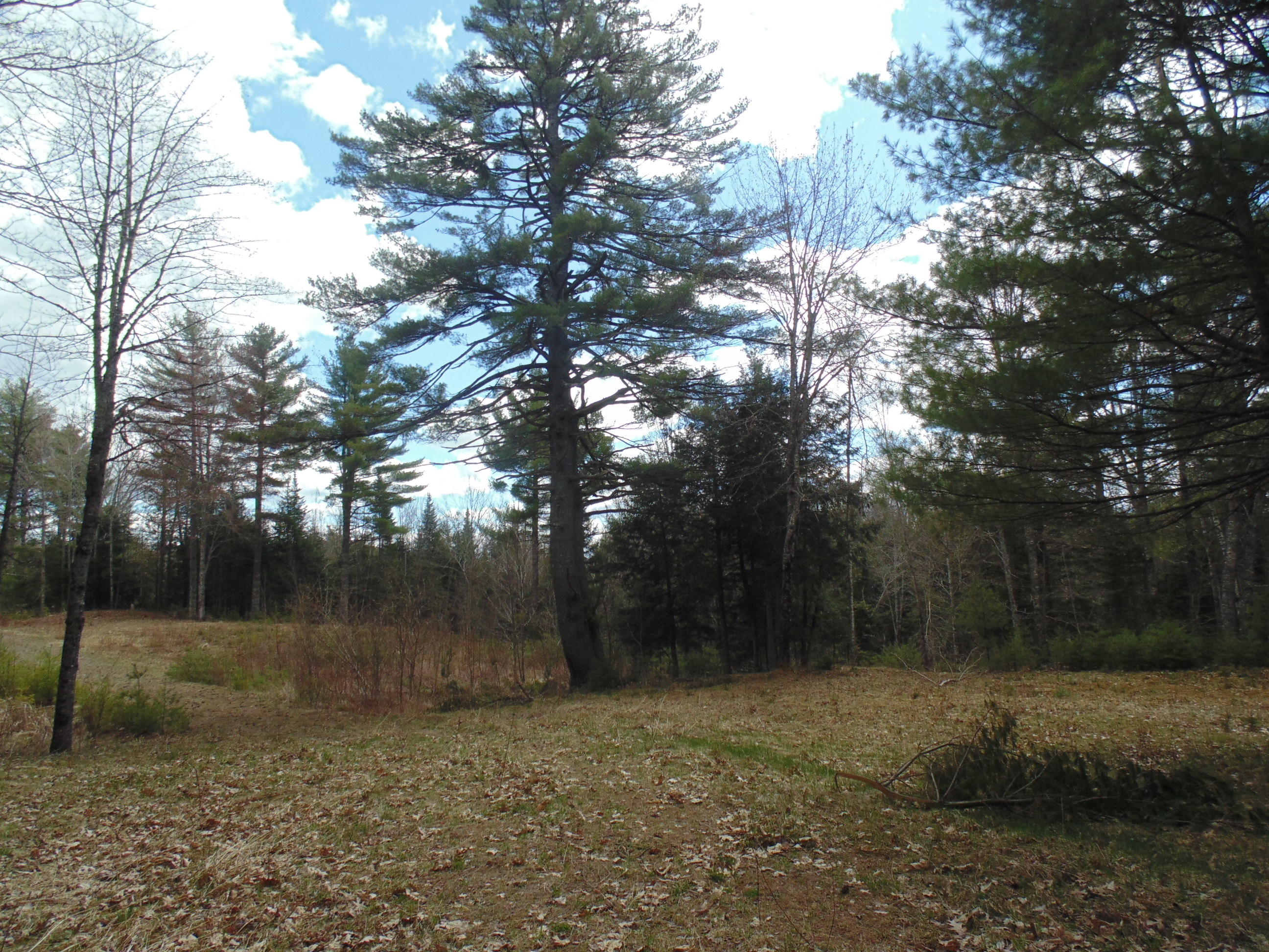 537 Airline Road Amherst, ME 04605 - Photo 56 of 57 DSC06082