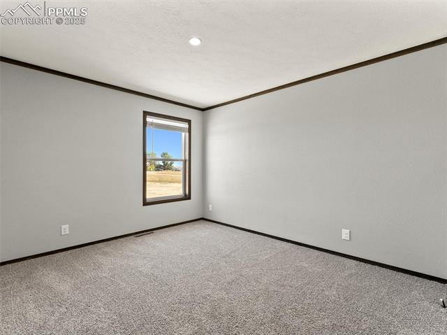 22843 Handle Road Calhan, CO 80808 - Photo 14 of 47 Carpeted empty room featuring ornamental molding and a textured ceiling