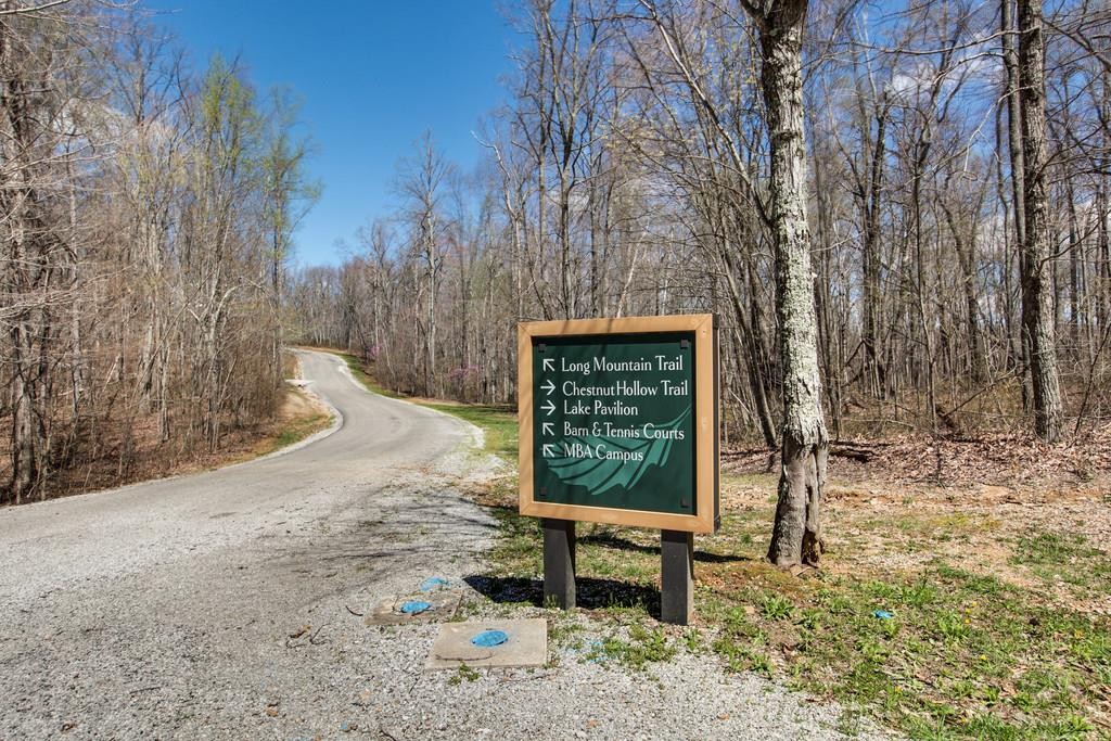 7 Long Mountain Road McMinnville, TN 37110 - Photo 16 of 62 a view of a bench in a backyard