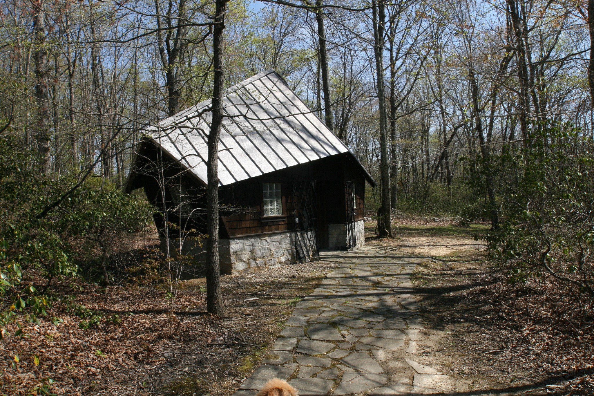 7 Long Mountain Road McMinnville, TN 37110 - Photo 33 of 62 a view of a backyard with table and chairs with wooden fence and large trees