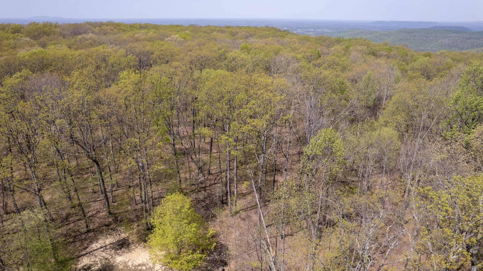 7 Long Mountain Road McMinnville, TN 37110 - Photo 35 of 62 a view of a field