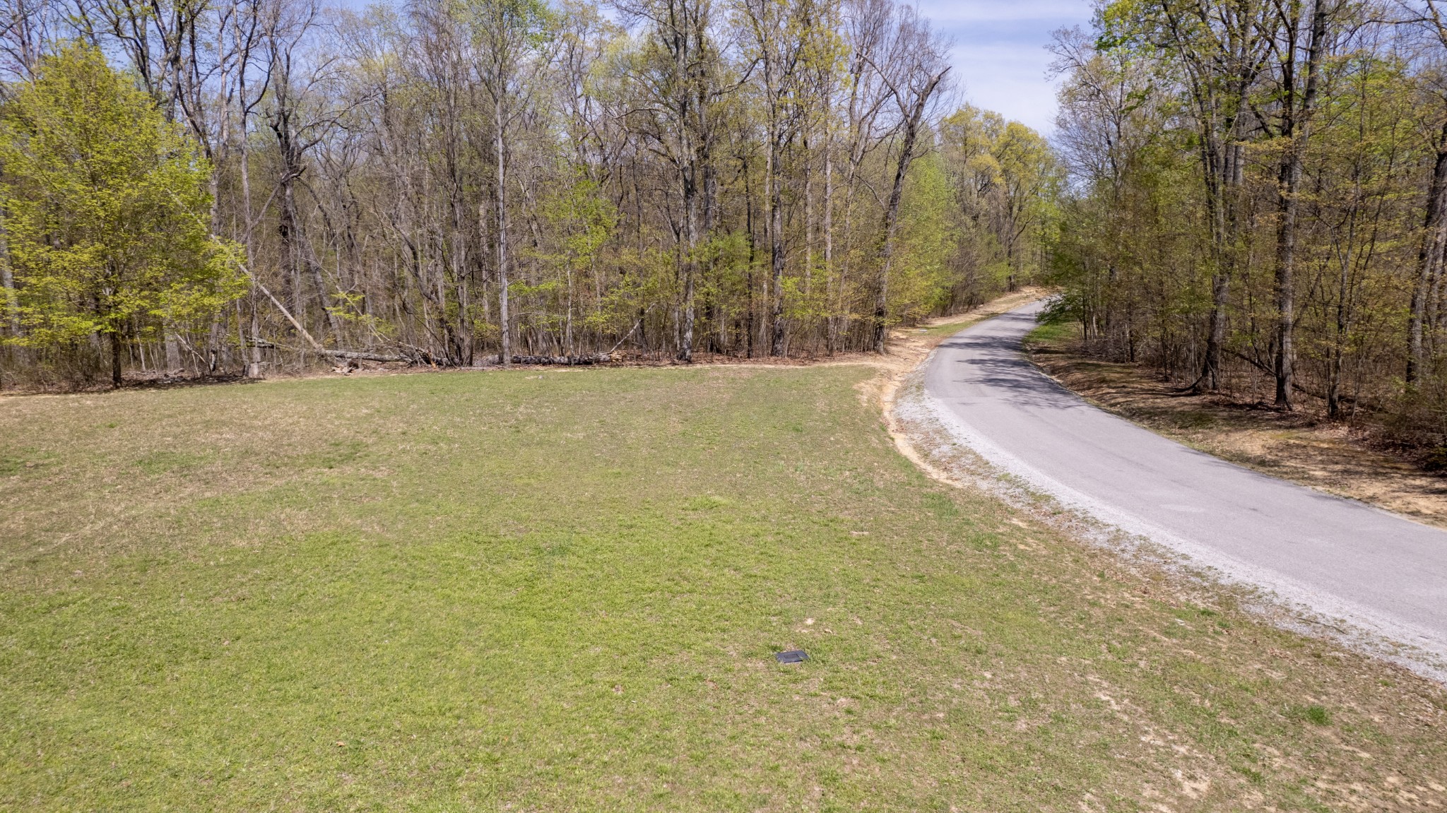 7 Long Mountain Road McMinnville, TN 37110 - Photo 36 of 62 a view of a yard with large trees