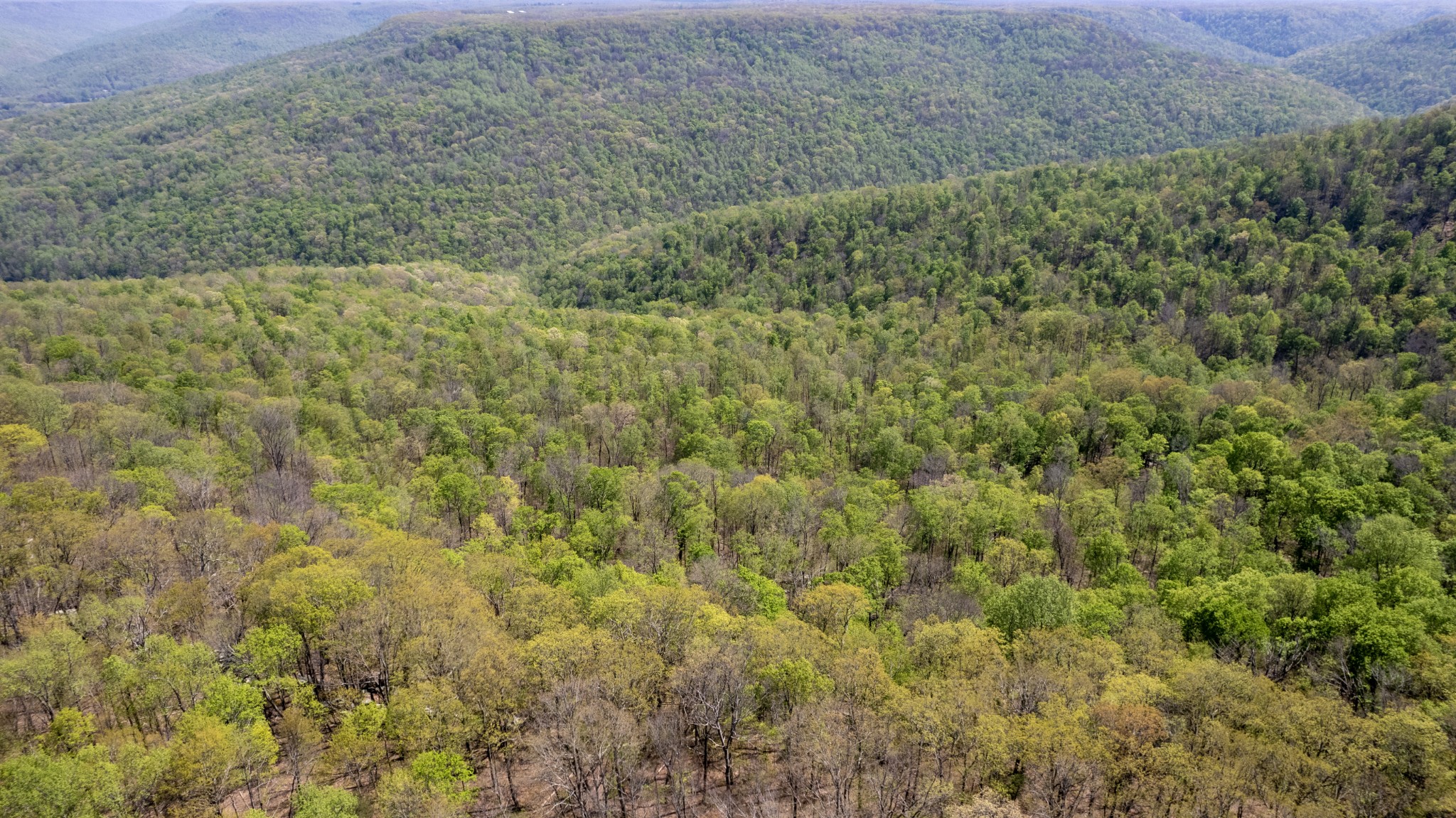7 Long Mountain Road McMinnville, TN 37110 - Photo 37 of 62 a view of a yard with an outdoor space