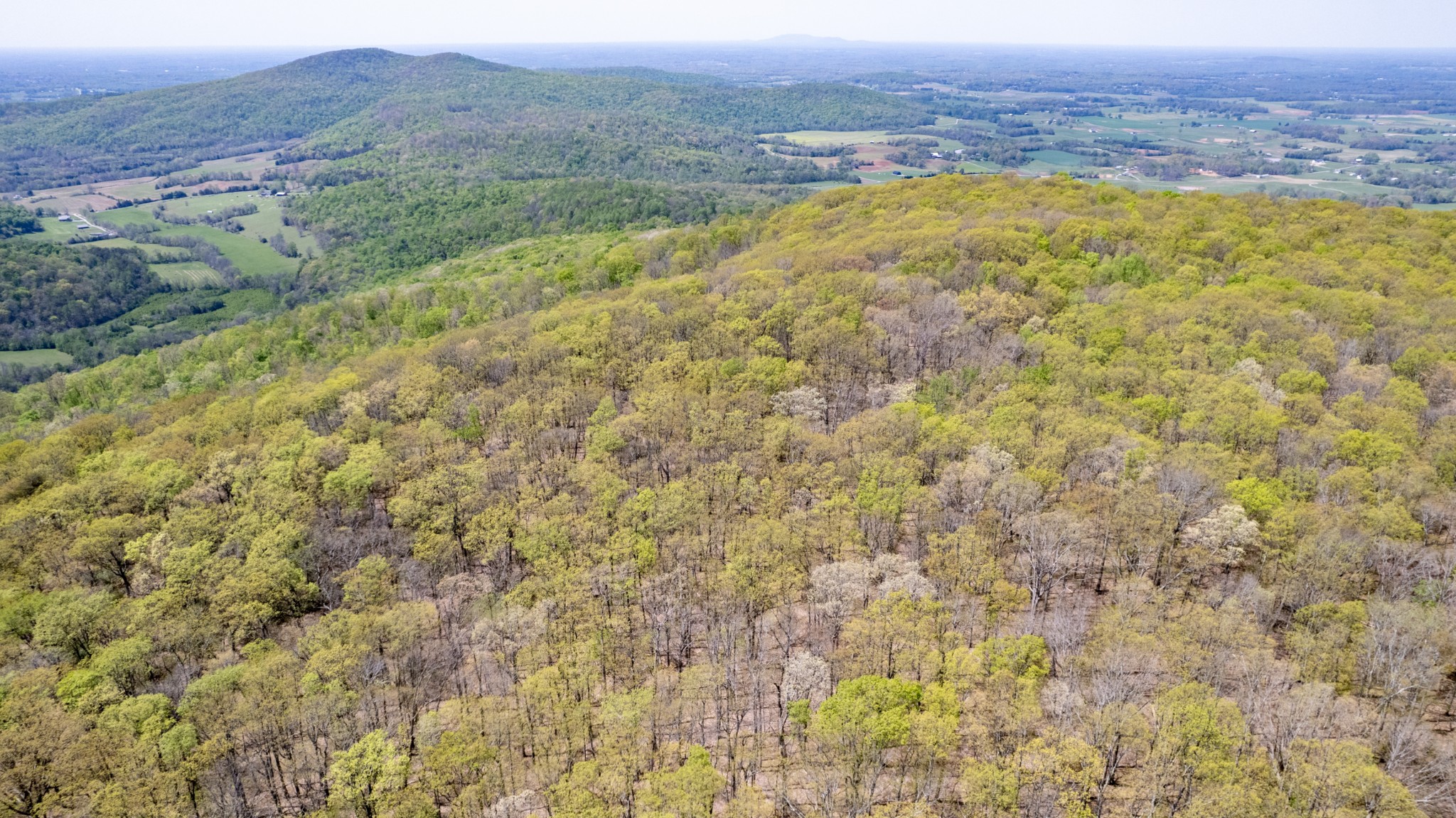 7 Long Mountain Road McMinnville, TN 37110 - Photo 38 of 62 a view of an outdoor space and mountain view