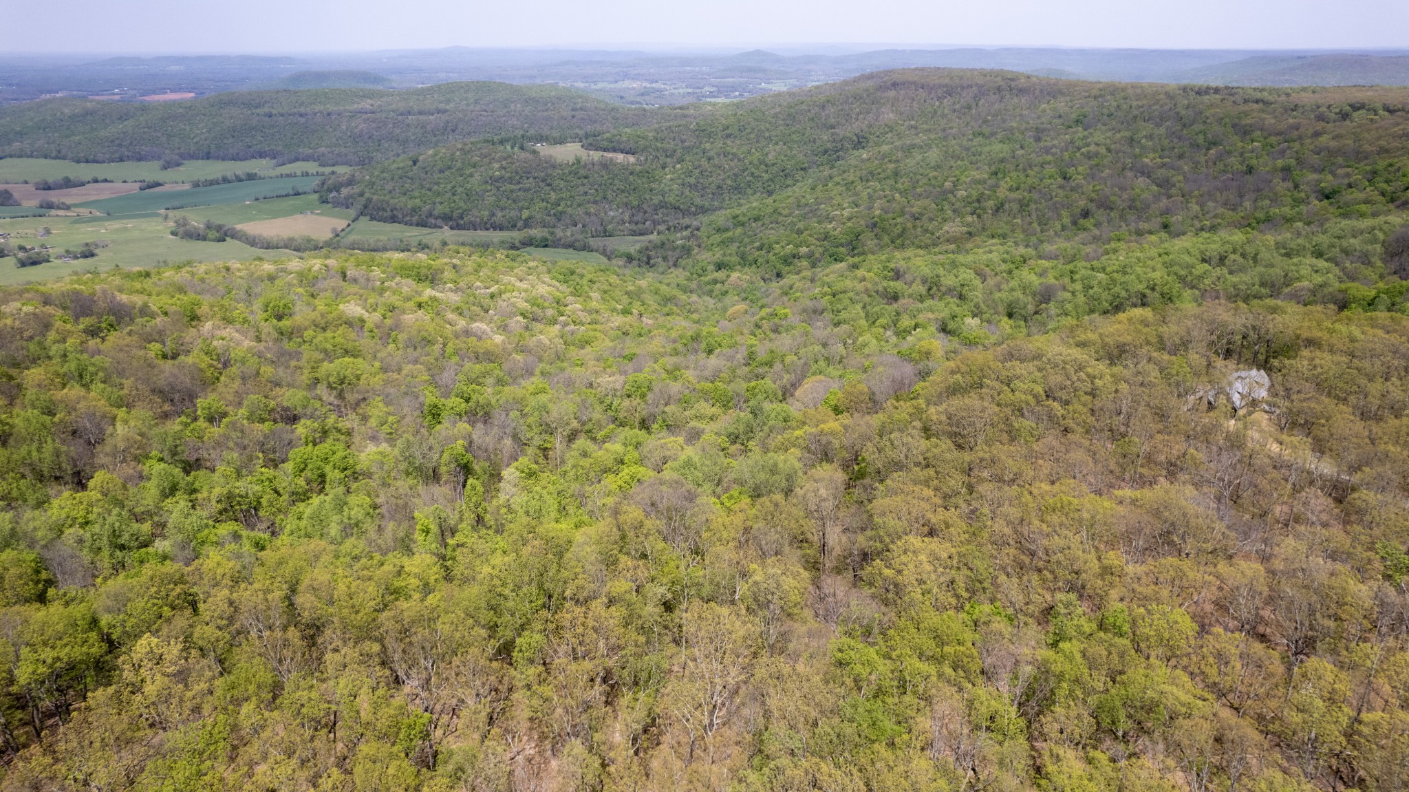 7 Long Mountain Road McMinnville, TN 37110 - Photo 39 of 62 a view of an outdoor space with a lake view