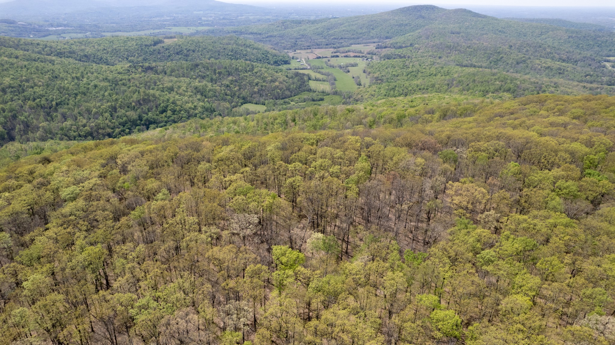 7 Long Mountain Road McMinnville, TN 37110 - Photo 41 of 62 a view of a lush green field