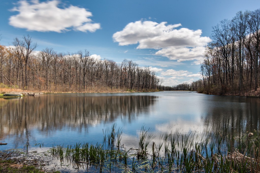 7 Long Mountain Road McMinnville, TN 37110 - Photo 44 of 62 a view of lake