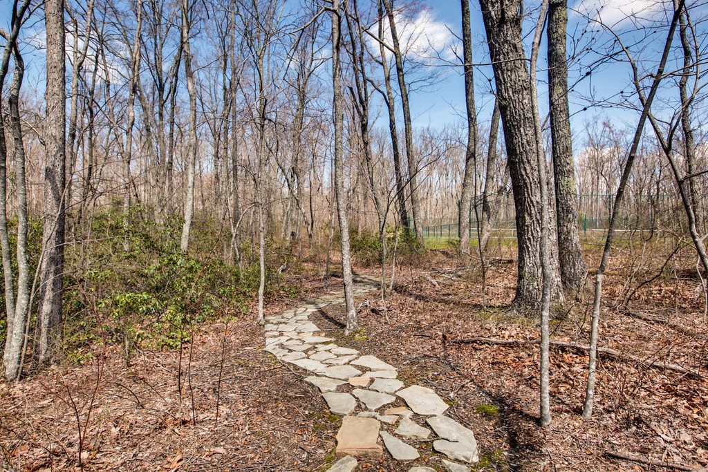 7 Long Mountain Road McMinnville, TN 37110 - Photo 50 of 62 a backyard of a house with lots of green space