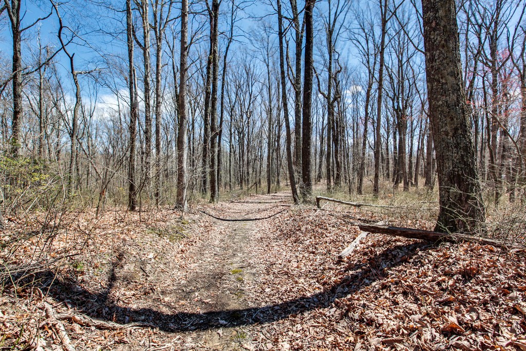 7 Long Mountain Road McMinnville, TN 37110 - Photo 52 of 62