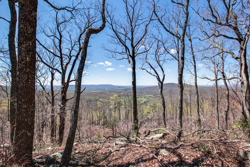 7 Long Mountain Road McMinnville, TN 37110 - Photo 53 of 62 a view of outdoor space and yard